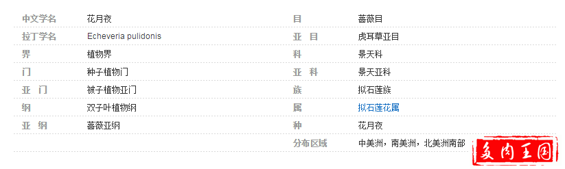 花月夜.png